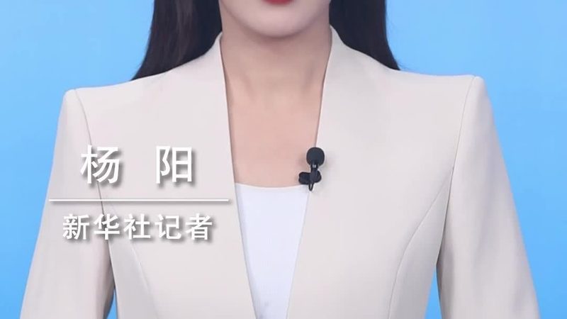 大数据分析课程案例实战：揭秘实战背后的关键要素